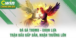 Đá gà Thomo - Chọn Lựa Trận Đấu Hấp Dẫn, Nhận Thưởng Lớn